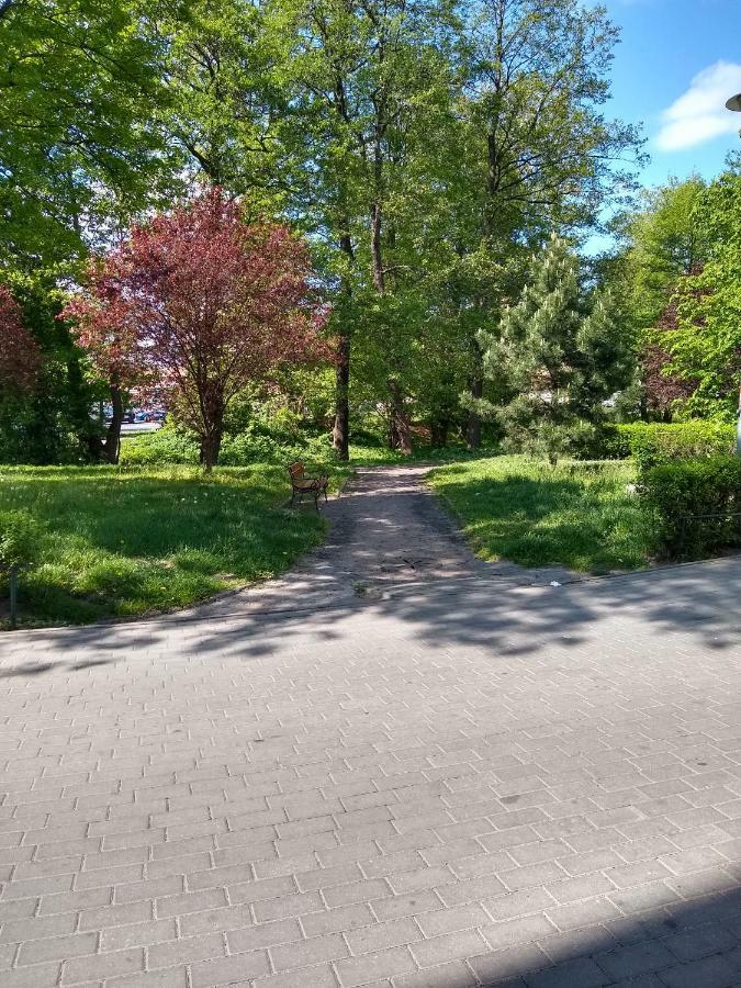 Apartament Alfa Apartment Stary Toruń Екстериор снимка