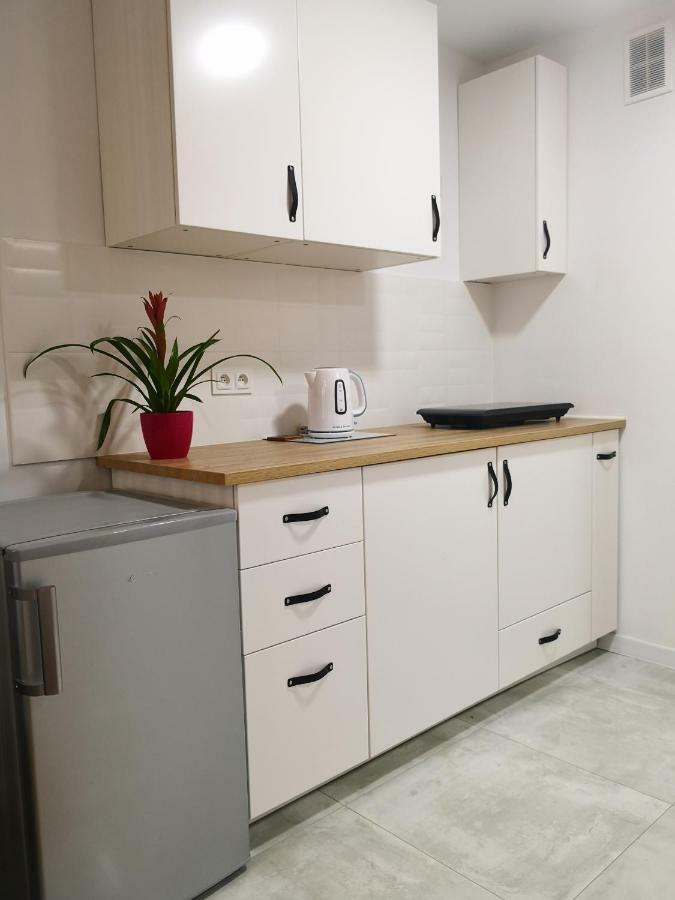 Apartament Alfa Apartment Stary Toruń Екстериор снимка